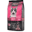 Adult Light Geflügel Cat