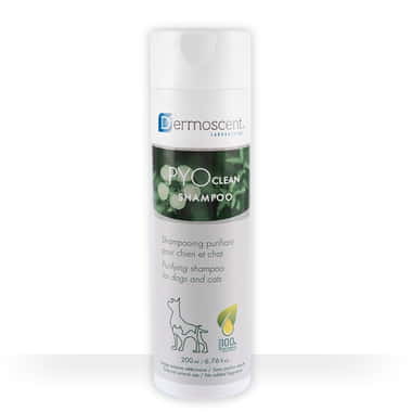 PYOclean Shampoo