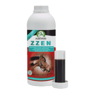 Zzen