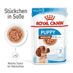 Medium Puppy - Stückchen in Sauce