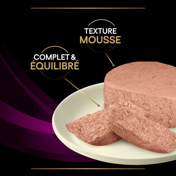 FELINE UR St/Ox Urinary Mousse