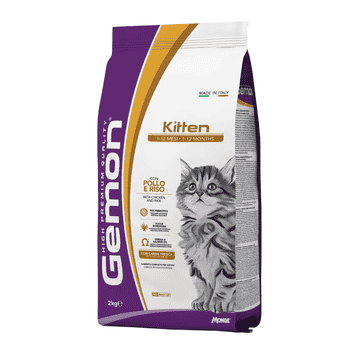 Cat Kitten Chicken and Rice