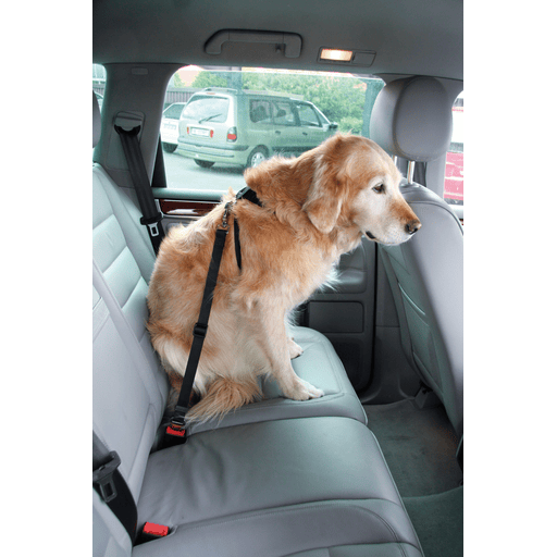 Sicherheitsgeschirr DogSafe für Hunde