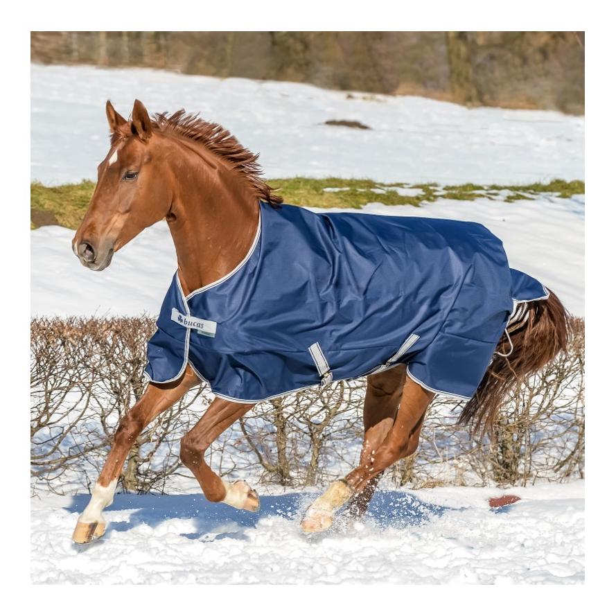 Couverture d'hiver Freedom Turnout 300 g