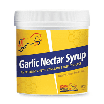 Garlic Nectar Syrup