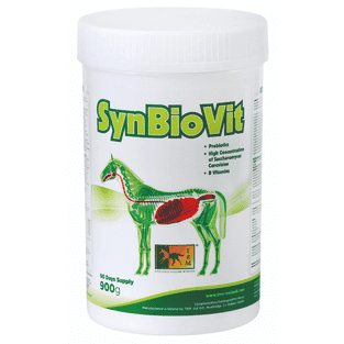 SynBioVit