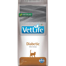 Feline Diabetic