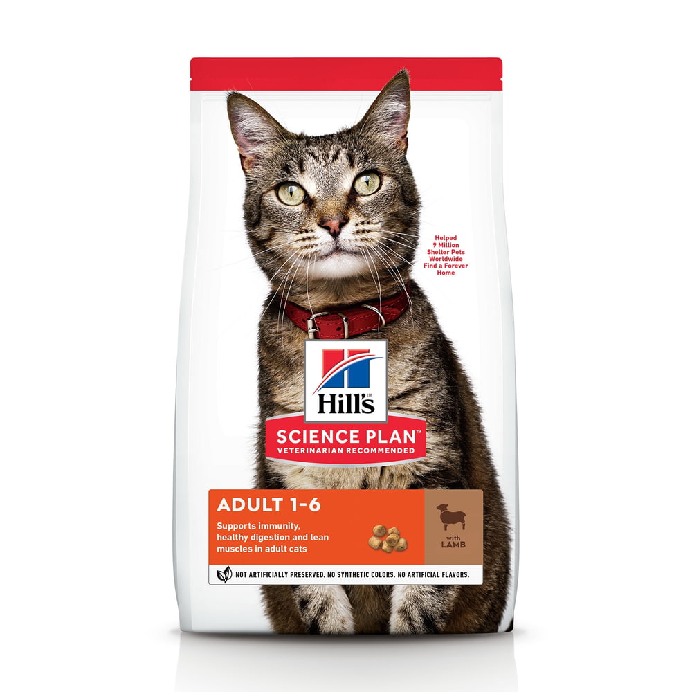 Feline Adult with Lamb