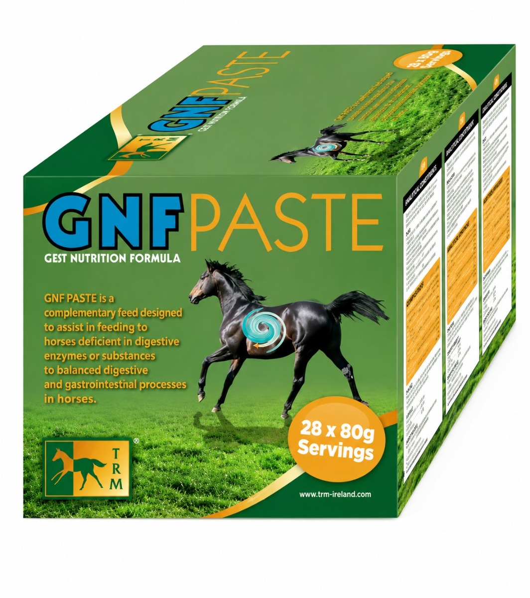 Good as Gold Paste estomac