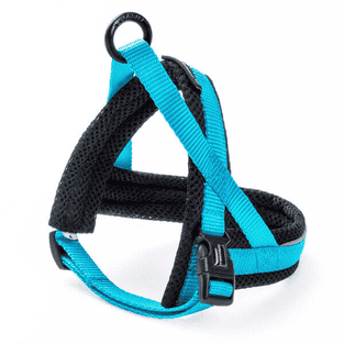Nordic Basic Mini harnais turquoise