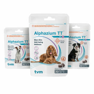 Alphazium TT