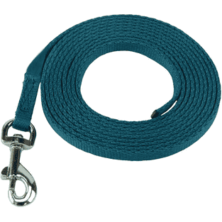 Laisse de dressage pour dans la maison Puppy