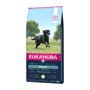 Active Adult Large & Giant Breed