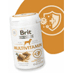 Vitamins Dog Multivitamins