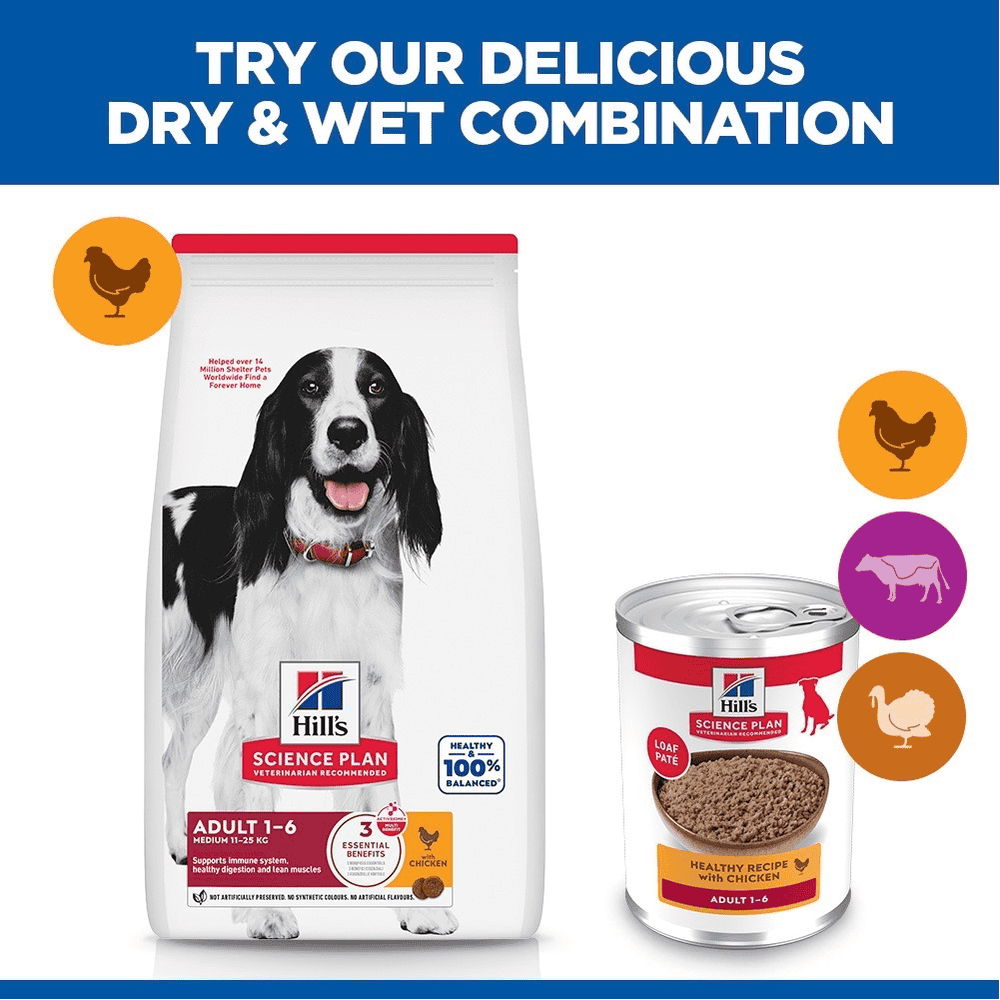 Canine Adult Chicken - Can