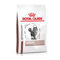 Hepatic Cat