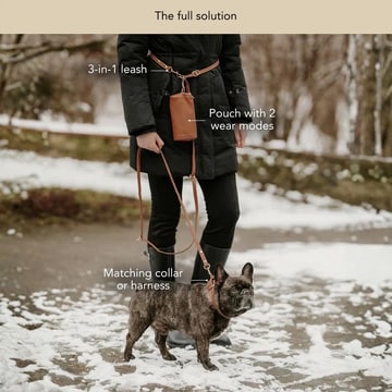 3-in-1 Handsfree Leather Dog Leash