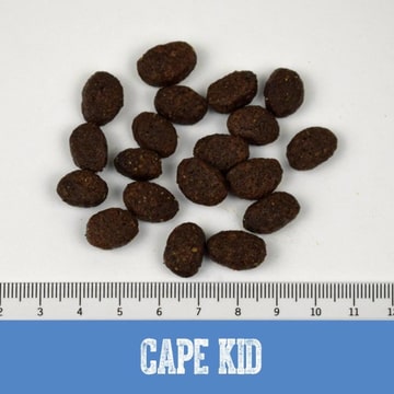 Cape Kid Puppy Large Turkey &amp; Salmon