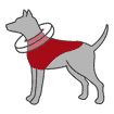 Protective collar, inflatable