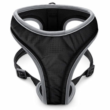Harnais Sport Soi Uni noir