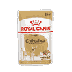 Chihuahua - sachet