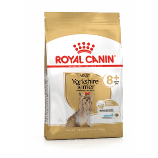 Yorkshire Terrier 8+