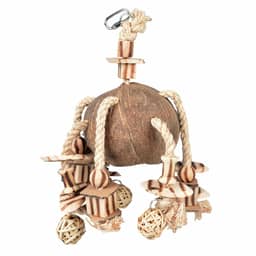 Coconut Jungle pendentif