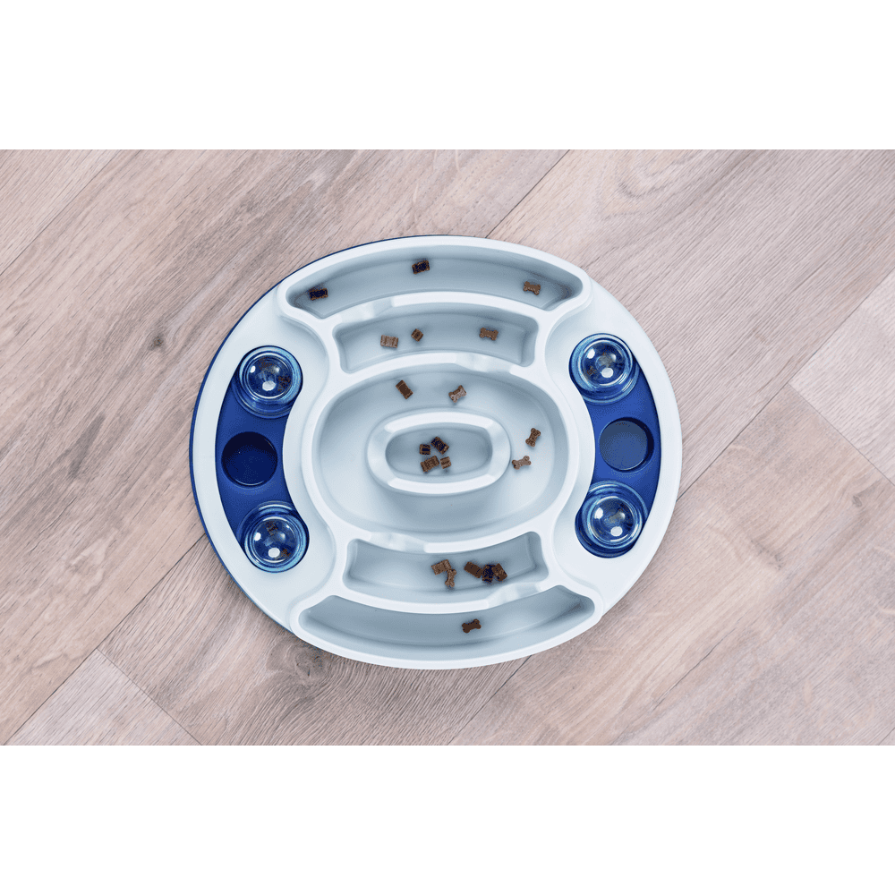 Dog Activity Slide & Feed