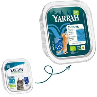 Bio Chunks mit Fisch für Katzen - Schale