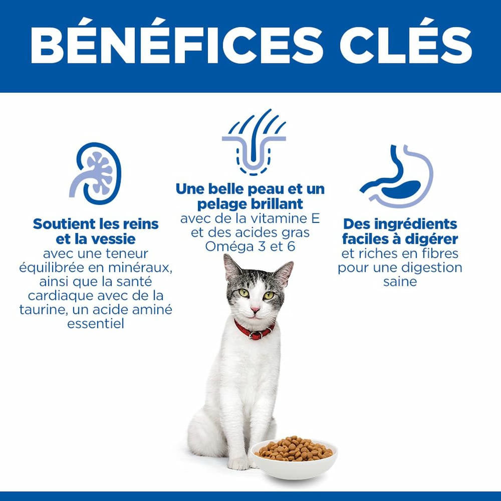 Feline Senior 11+