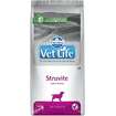 Canine Struvite