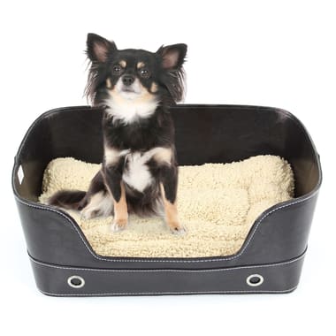 Hunde- & Katzenbett Lounge