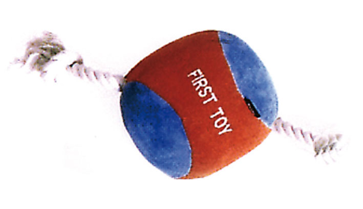 Puppy toy ball