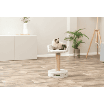 Dalia cat scratcher