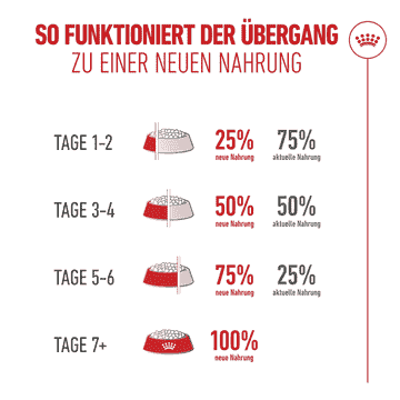 Ageing 11+