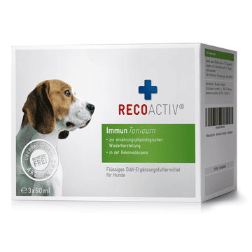 Immun Tonicum pour chiens