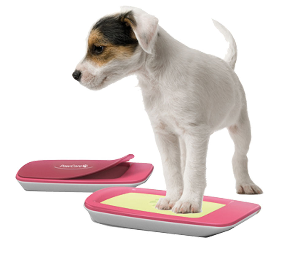 PawCare Container Small, 185g