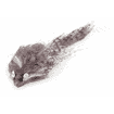 souris poil long avec crécelle