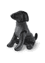 Pullover gris pour chiens