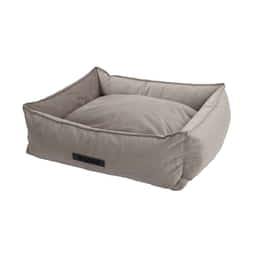 Lit pour chien Velours gris clair
