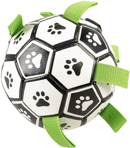 Football pour chiens