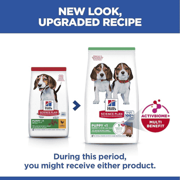 Puppy Medium Breed Lamb & Rice