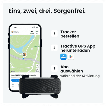 DOG 6 Tracker