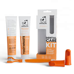 Dental Kit