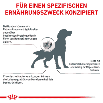 Hypoallergenic Dog