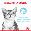 SENSORY SMELL, TASTE, FEEL en Sauce, Sachets
