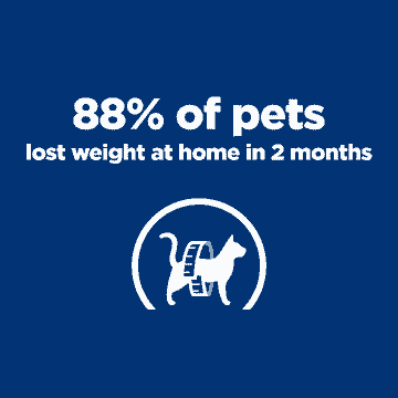 Feline Metabolic Weight loss & Maintenance - Fresh pouches