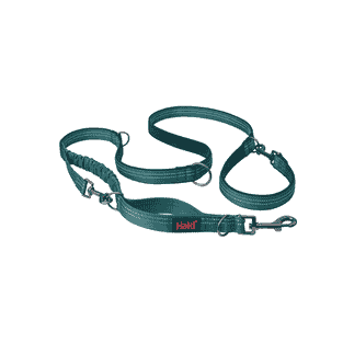 Anatomy leashes, blue