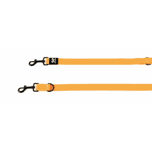 TrendLine ONE Laisse, orange