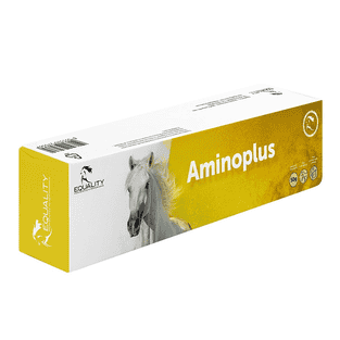 Aminoplus Paste Syringe